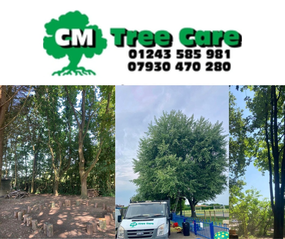 CM Tree Care