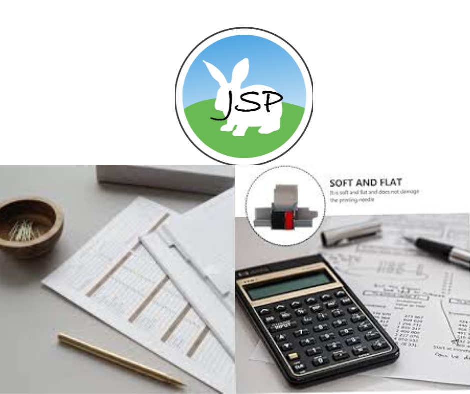 JSP Easy Accounts