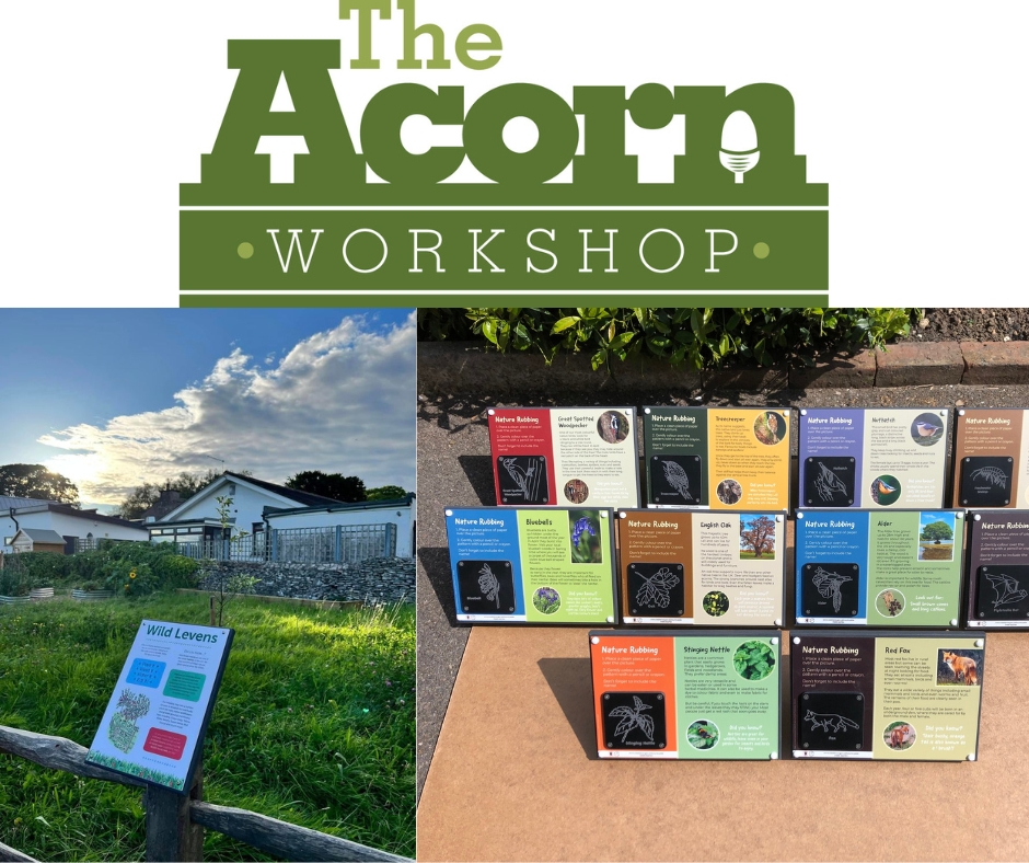 The Acorn Workshop