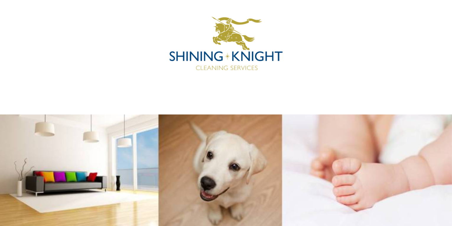 Shining Knight Cleaning Services